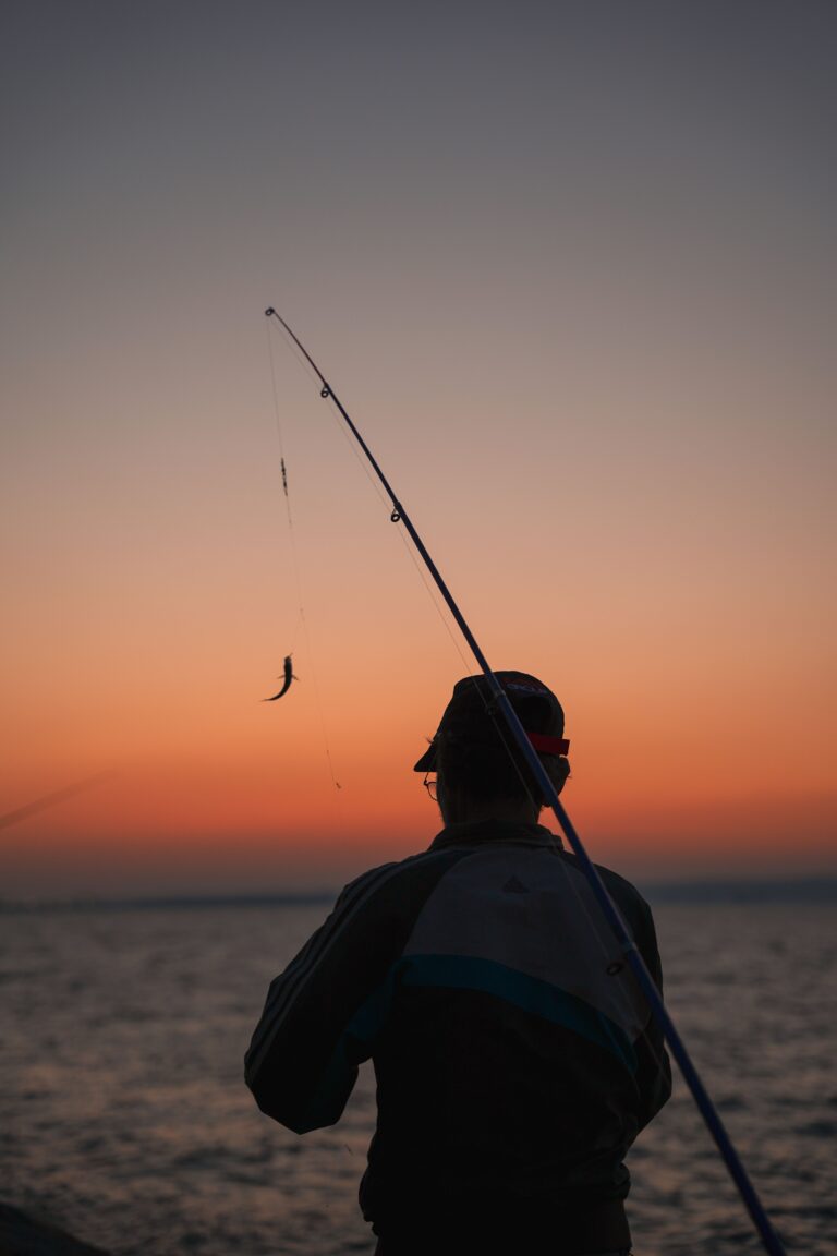 Pêche Carpiste Nocturne